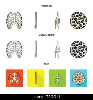 Nervure, colonne vertébrale,fémur,,fibre,cage,chiropratique,osseuses,sain,rx,base,jambe,scientifique,le corps,la colonne vertébrale,Genou,musculaires ostéoporose,tibia,,épithélium sternum,posture,péroné,épiderme,sternum,joints,tendon,mouvement,calcium cellule,chirurgie,dommage,la médecine,clinique,biologie,médical,os,,squelette anatomie,des,organes,,set,icône,,illustration,collection,isolé,design,graphisme,élément vecteur vecteurs,signer , Illustration de Vecteur