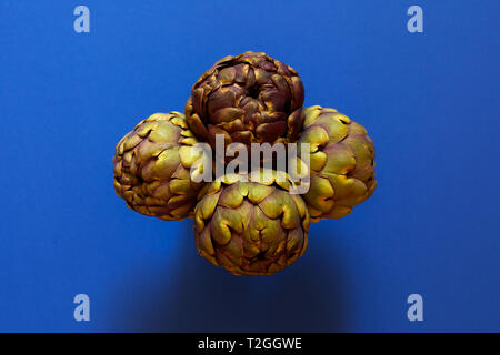 Groupe de 4 Artichauts isolées de ci-dessus sur fond bleu concept flatlay Banque D'Images