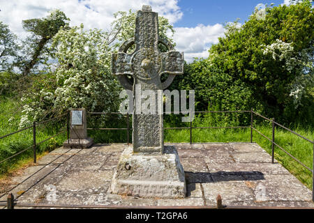 Dans Kilree High Cross Site Monastique dans le comté de Kilkenny, Irlande Banque D'Images