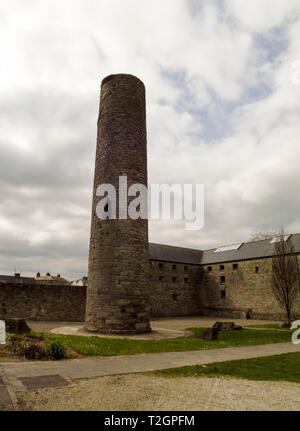 Bel exemple d'une des tours rondes irlandais célèbre dans la ville de Roscrea dans le comté de Tipperary. Banque D'Images