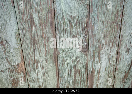 Un gros plan d'un fragment d'une vieille porte en milieu rural. Porte en bois avec des raccords en métal. La peinture à l'huile blanchie. Peu de profondeur de foyer, la texture, l'arrière-plan. Banque D'Images