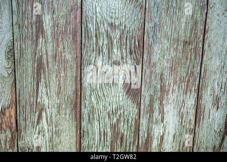 Un gros plan d'un fragment d'une vieille porte en milieu rural. Porte en bois avec des raccords en métal. La peinture à l'huile blanchie. Peu de profondeur de foyer, la texture, l'arrière-plan. Banque D'Images