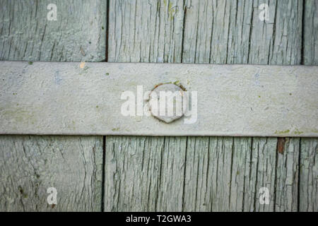 Un gros plan d'un fragment d'une vieille porte en milieu rural. Porte en bois avec des raccords en métal. La peinture à l'huile blanchie. Peu de profondeur de foyer, la texture, l'arrière-plan. Banque D'Images