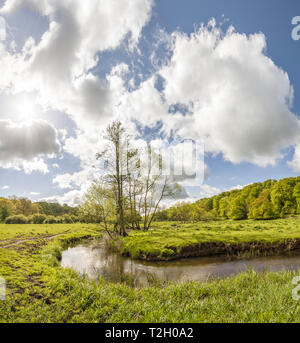 Paysage avec petite rivière à Fyledalen valley nature reserve, Tomelilla, Skane, Suède, Scandinavie. Banque D'Images