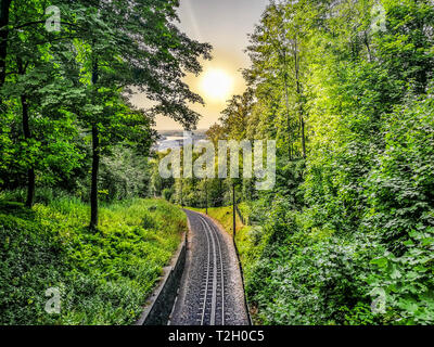 Au milieu d'arbres de fer Drachenfels Allemagne contre le paysage urbain. Banque D'Images