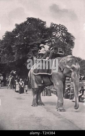 Zoological Gardens - Enfants assis sur les éléphants Banque D'Images