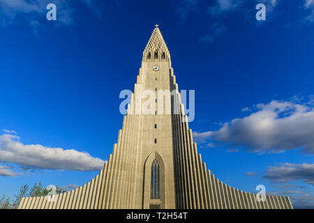 L'église Hallgrimskirkja à Reykjavik, Islande, Europe Banque D'Images