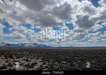 Les armoises dans une haute vallée du désert sur un jour nuageux Banque D'Images