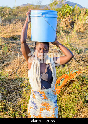 Malawian femme porte grand seau d'eau en plastique sur la tête. Banque D'Images