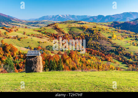 Paysages montagneux en automne. rural fields on grassy hills. arbres en automne feuillage. superbe beau temps en soirée. hay shed Banque D'Images