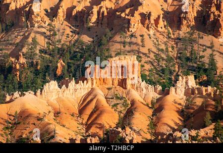 Rock formation, étranges paysage avec des cheminées, des formations de grès rougeâtre, Bryce Canyon National Park, Utah, USA Banque D'Images