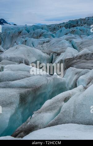 Champ de glace de glacier énorme dans Hornsund, Banque D'Images