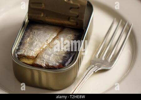 Les sardines en boîte ouverte sur plaque blanche avec fourche, Allemagne Banque D'Images