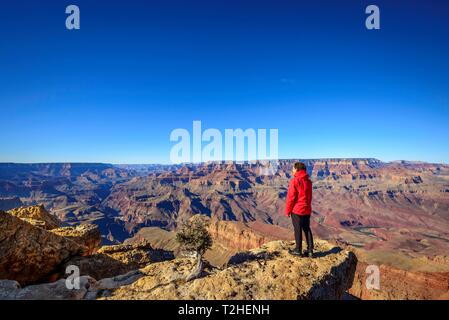 Jeune femme cherche dans le tourisme, la distance, se place en avant de la gorge du Grand Canyon, Colorado River, paysage rocheux érodé, South Rim Banque D'Images