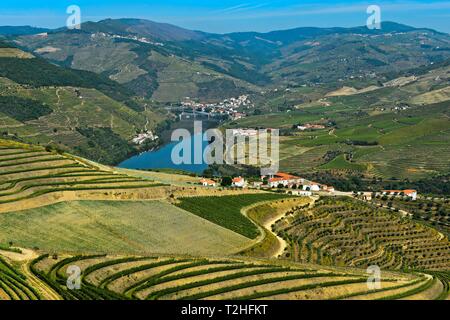 Région viticole du Haut-Douro près de Whitehouse sur le fleuve Douro, Vallée du Douro, Portugal Banque D'Images