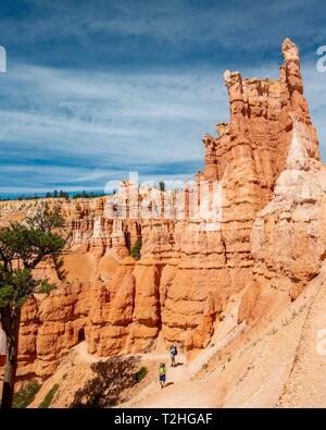 Sentier de randonnée pédestre sentier Peekaboo, étranges paysage avec des cheminées, des formations de grès rougeâtre, Inspiration Point, Bryce Canyon National Park, Utah Banque D'Images