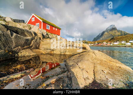 Rouge par seaside rocks en reine, Moskenes, Nordland, îles Lofoten, Norvège, Europe Banque D'Images