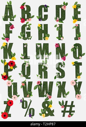 Lettres de l'alphabet anglais, fait de l'herbe verte avec des feuilles et fleurs isolated on white Banque D'Images