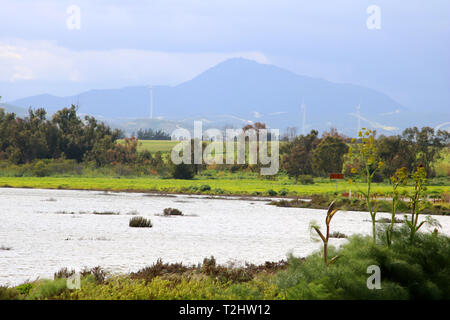 Vue sur lac salé de Larnaca, Chypre Banque D'Images