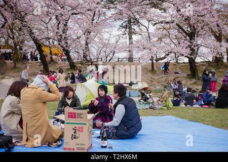 Vu les personnes bénéficiant d'une atmosphère des cerisiers en fleur pendant le festival. Le printemps arrive et 800 'Sakura' cerisiers se propager dans la zone autour de Château Okazaki montrant leurs couleurs avec fierté, ajoutant à l'air de fête de l'endroit, il y a aussi d'innombrables attractions et alimentaire cale, le traditionnel 'Yatai', alignant les berges de la rivière de l'OTO (Otogawa River). Banque D'Images