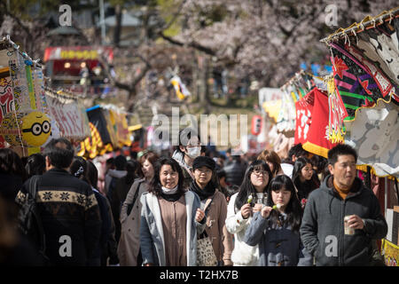 Vu les personnes bénéficiant d'une atmosphère des cerisiers en fleur pendant le festival. Le printemps arrive et 800 'Sakura' cerisiers se propager dans la zone autour de Château Okazaki montrant leurs couleurs avec fierté, ajoutant à l'air de fête de l'endroit, il y a aussi d'innombrables attractions et alimentaire cale, le traditionnel 'Yatai', alignant les berges de la rivière de l'OTO (Otogawa River). Banque D'Images