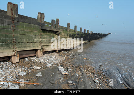 Épis de Cromer, Mer du Nord. Banque D'Images