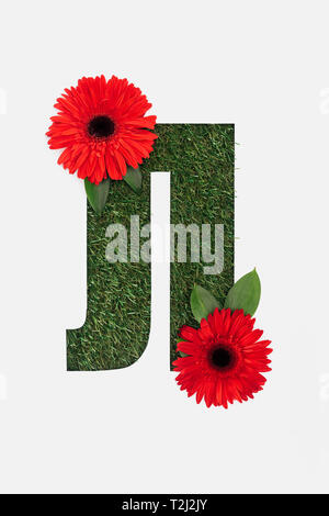 Découper des lettre de l'alphabet cyrillique faite d'herbe naturelle et avec gerberas lumineux rouge isolated on white Banque D'Images