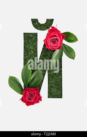 Vue du dessus de la lettre cyrillique fait d'herbe avec des feuilles vertes et roses rouges isolated on white Banque D'Images