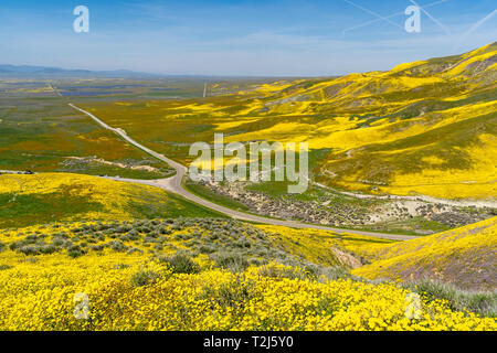 Carrizo Plain National Monument pendant le super fleurissent en Californie Banque D'Images