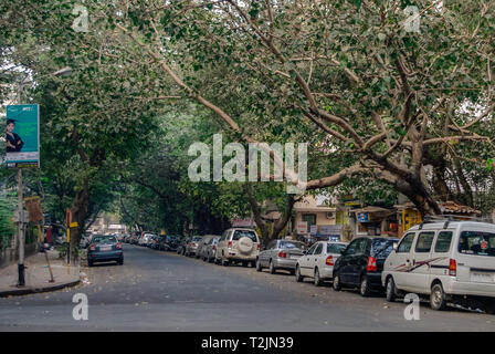 Mumbai, Inde - 1 janvier 2012 : Street dans le quartier Colaba de Mumbai (Inde) Banque D'Images