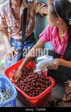 Femme vendant des collations alimentaires sur le train circulaire à Yangon Myanmar (Birmanie) Banque D'Images