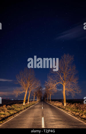 Ciel étoilé avec quelques nuages vu depuis le milieu de la route, entouré d'arbres abattus par une nuit claire en Roumanie à l'aide d'une longue exposition Banque D'Images