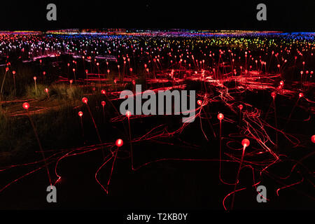 Domaine de la lumière la nuit avec la plupart du temps des feux rouges en Australie NT Banque D'Images