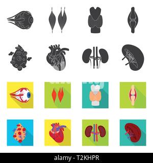 Muscle dorsal,oeil,os,sang,coeur,rein,oeil,,organes,moelle,plasma,tendon,,cardiologie,urinaire cornée,os,tissus,ligament,cell,haricots,cardiovasculaire blessures,couches,couvrir,body,structure,transplantation,system,meubles,,don,biologie,scientifique,recherche,laboratoire,Anatomie interne d'organes,médical,des,santé,,set,icône,,illustration,collection,isolé,design,graphisme,élément vecteur vecteurs,signer , Illustration de Vecteur