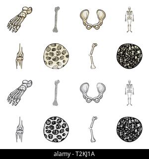 Fémur,pieds,de,la hanche,appareil locomoteur Fracture,fibres,ostéoporose,cheville,bony,joints,sain,scientifique,la douleur,cell,jambe,bassin,tissu,biais,squelettique, la podologie, la chirurgie du genou,,system,dommage,musculaire,avant-pied,conjonctif,tibia,body,cartilage épithélium,médecine,clinique,biologie,médical,os,,squelette anatomie,des,organes,,set,icône,,illustration,collection,isolé,design,graphisme,élément vecteur vecteurs,signer , Illustration de Vecteur