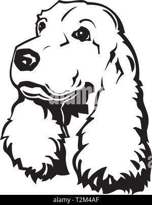Cocker Anglais Vector Illustration Illustration de Vecteur