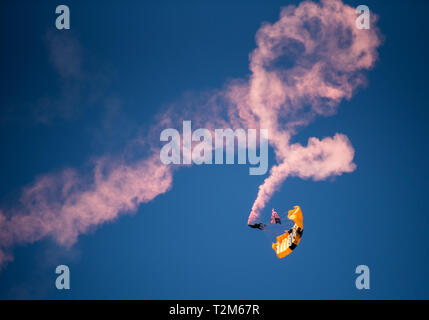 Membre de l'armée américaine Golden Knights parachute team effectue pendant la "Tonnerre sur la baie" Air Show à Travis Air Force Base, en Californie, le 31 mars 2019. L'événement honoré héros comme les policiers, les pompiers, les infirmières, les enseignants et les citoyens ordinaires dont le dévouement ont fait leurs collectivités plus sûres et d'améliorer la qualité de vie. (U.S. Air Force photo par le Sgt. Joey Swafford) Banque D'Images