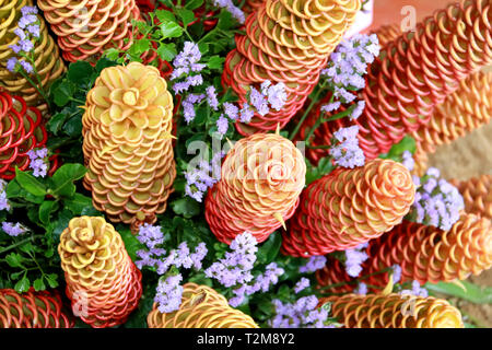 Ruche d'or le gingembre, Zingiber spectabile griff, belles fleurs tropicales Zingiberaceae Banque D'Images