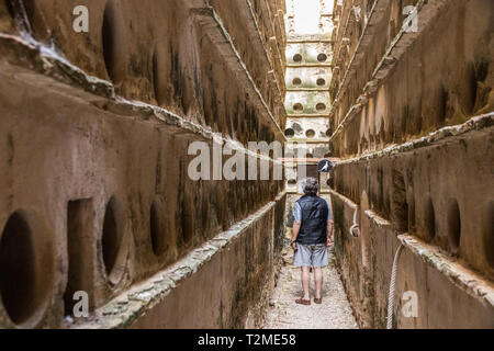 Barbate, Espagne. Le Palomar de la Brena, plus grand pigeonnier dans le monde à l'intérieur d'un ranch du 18ème siècle et dans la province de Cadix, Andalousie Banque D'Images