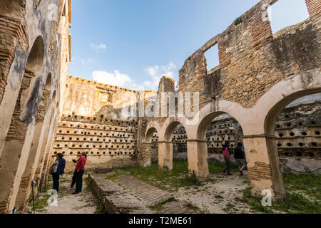 Barbate, Espagne. Le Palomar de la Brena, plus grand pigeonnier dans le monde à l'intérieur d'un ranch du 18ème siècle et dans la province de Cadix, Andalousie Banque D'Images