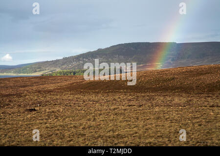 Arc-en-ciel sur la lande Région Ecosse Highland Lochindorb Banque D'Images