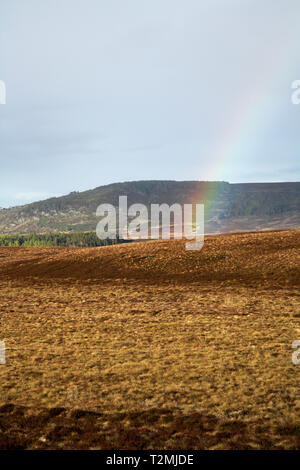 Arc-en-ciel sur la lande Région Ecosse Highland Lochindorb Banque D'Images