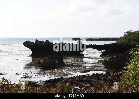 Turtle Beach, l'Azura Quilalea Private Island, archipel des Quirimbas, au Mozambique, l'Afrique Banque D'Images