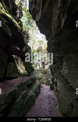 Le mystérieux gouffre rocailleux de l'Église près de l'Éusc Gradbach dans Staffordshire, Angleterre. Cachés dans les bois près de cafards. Banque D'Images