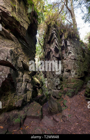 Le mystérieux gouffre rocailleux de l'Église près de l'Éusc Gradbach dans Staffordshire, Angleterre. Cachés dans les bois près de cafards. Banque D'Images