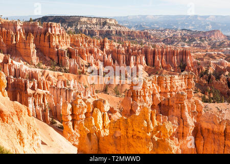 Beaucoup de spires, appelé aussi hoodos, sculpté à l'écart par l'érosion dans la région de Bryce Canyon National Park, Utah, USA, l'éclat rouge et d'orange au lever du soleil. Le plus grand un Banque D'Images