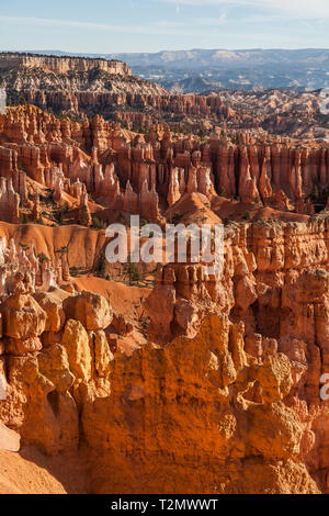 Beaucoup de spires, appelé aussi hoodos, sculpté à l'écart par l'érosion dans la région de Bryce Canyon National Park, Utah, USA, l'éclat rouge et d'orange au lever du soleil. Le plus grand un Banque D'Images