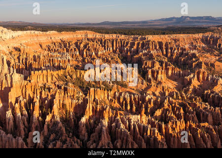 Beaucoup de spires, appelé aussi hoodos, sculpté à l'écart par l'érosion dans la région de Bryce Canyon National Park, Utah, USA, l'éclat rouge et d'orange au lever du soleil. Le plus grand un Banque D'Images