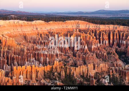 Beaucoup de spires, appelé aussi hoodos, sculpté à l'écart par l'érosion dans la région de Bryce Canyon National Park, Utah, USA, l'éclat rouge, orange et pastel au coucher du soleil. La lar Banque D'Images