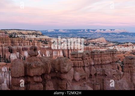 Beaucoup de spires, appelé aussi hoodos, sculpté à l'écart par l'érosion dans la région de Bryce Canyon National Park, Utah, USA, l'éclat rouge, orange et pastel au coucher du soleil. La lar Banque D'Images